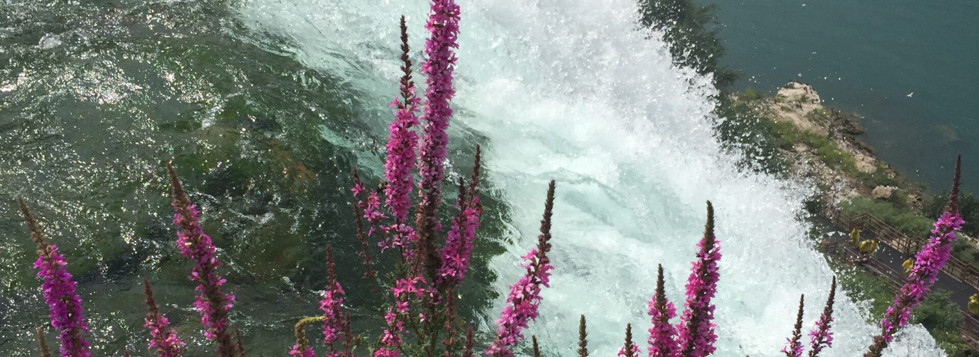 Borrowed Vessels Beeworks